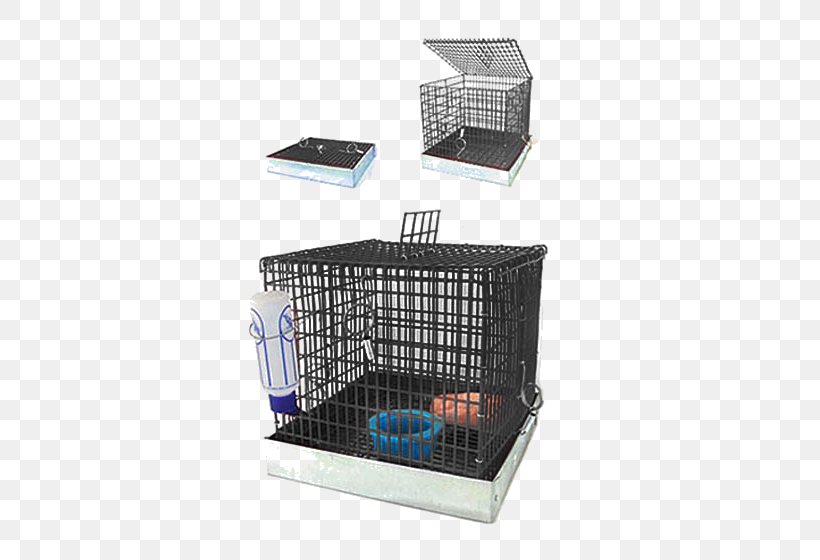 Cage Sugar Glider Guinea Pig Cockatiel Pocket Pet, PNG, 560x560px, Cage, Chinchilla, Cockatiel, Crate, Dog Download Free
