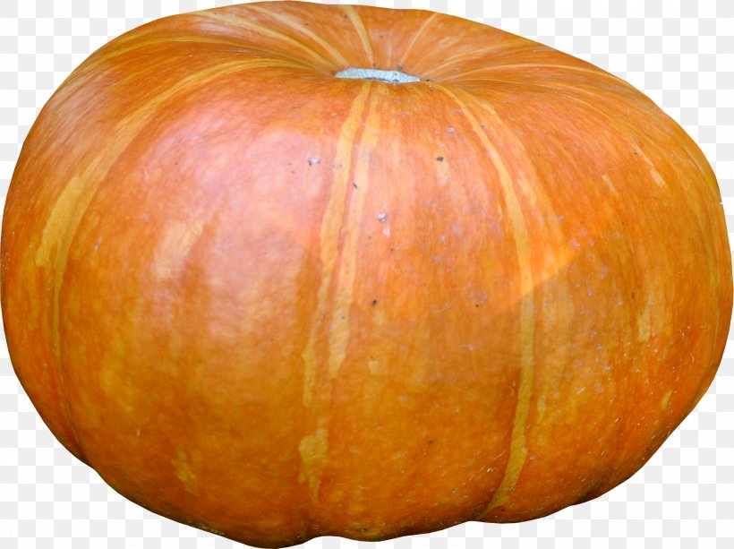 Pumpkin Calabaza Winter Squash Gourd Vegetarian Cuisine, PNG, 2145x1606px, Pumpkin, Calabaza, Commodity, Cucumber Gourd And Melon Family, Cucurbita Download Free