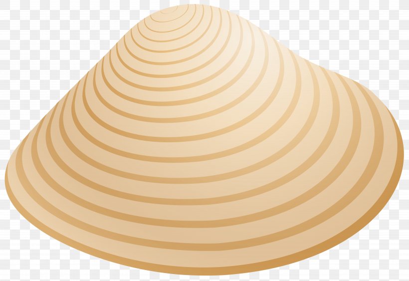 Seashell Desktop Wallpaper Clip Art, PNG, 7000x4812px, Seashell, Blog, Color, Drawing, Hat Download Free