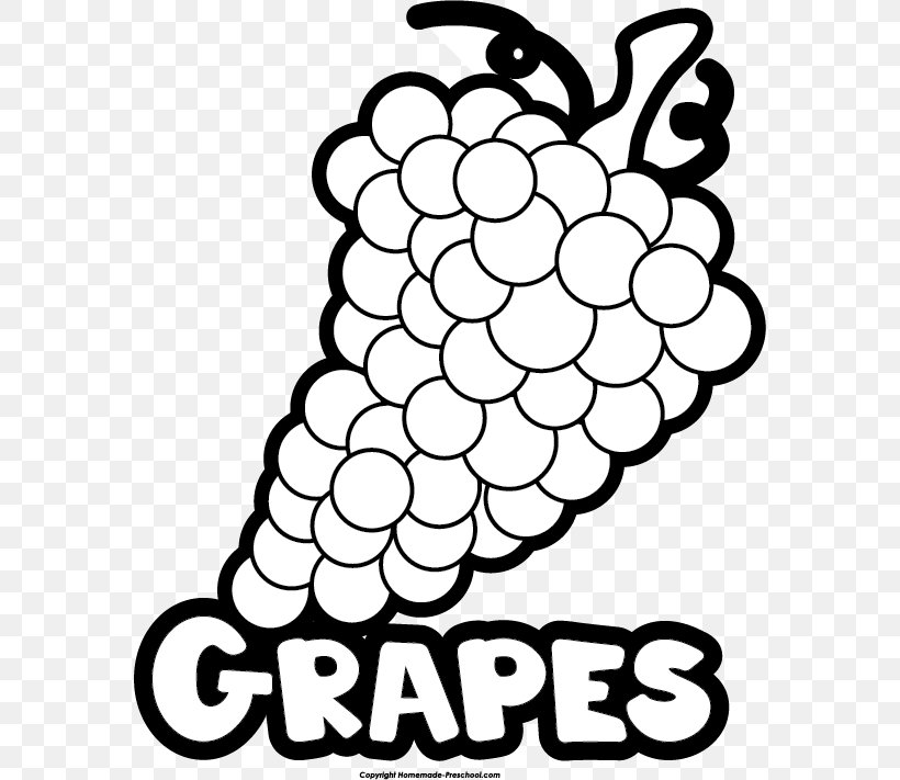 Common Grape Vine Clip Art White Wine, PNG, 576x711px, Common Grape Vine, Black And White, Coloring Book, Flora, Flower Download Free