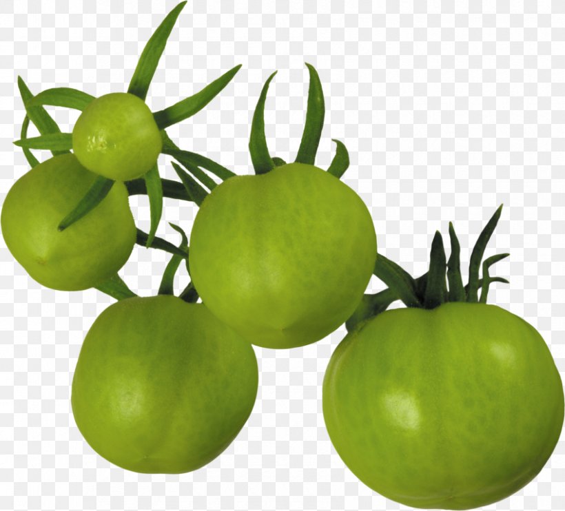 Fried Green Tomatoes Tomatillo Vegetable, PNG, 850x770px, Fried Green Tomatoes, Bush Tomato, Food, Fruit, Image File Formats Download Free