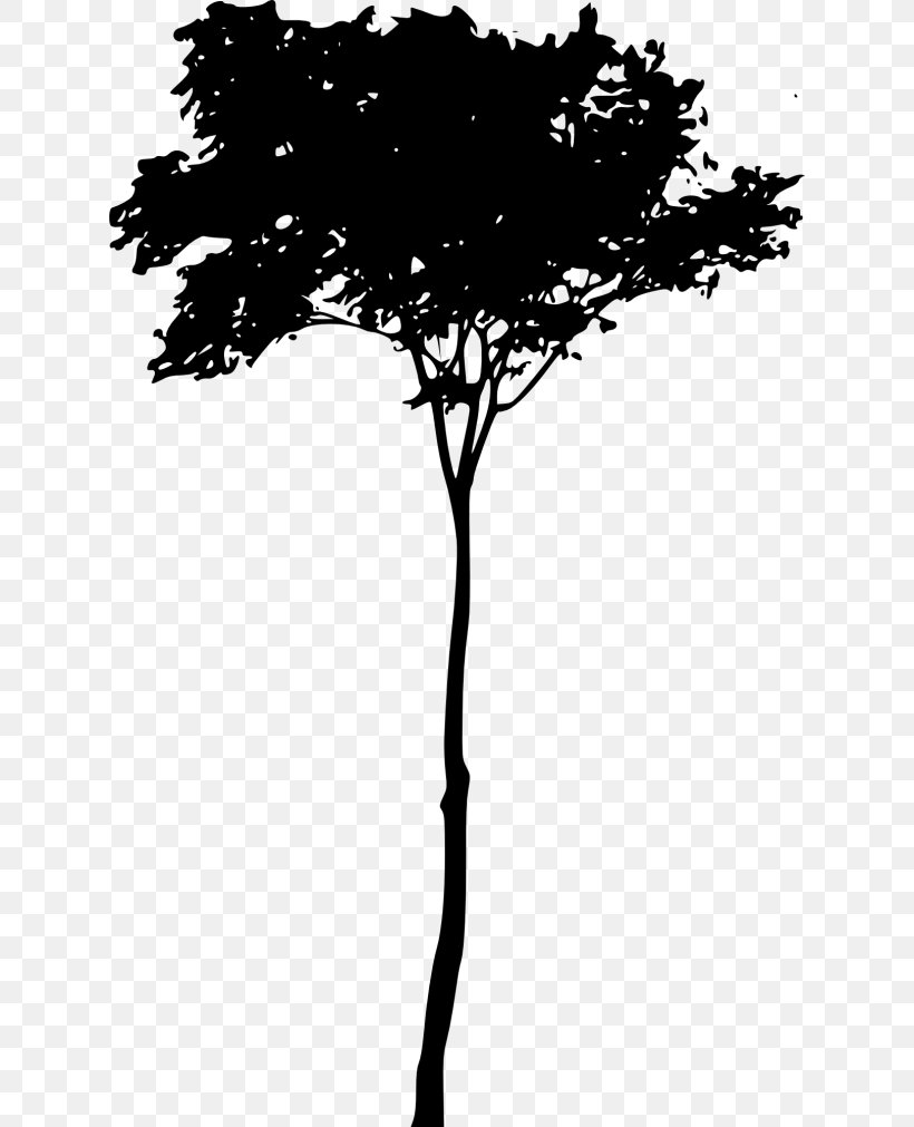 Twig Silhouette, PNG, 624x1011px, Twig, Black And White, Branch, Drawing, Leaf Download Free