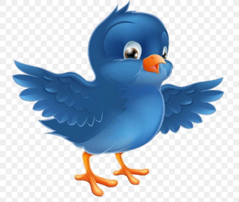 Bluebirds Vector Graphics Stock Photography Royalty-free, PNG, 736x695px, Bird, Beak, Bluebird Of Happiness, Bluebirds, Cartoon Download Free