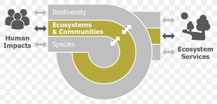 Conservation Biology Biodiversity Science, PNG, 1075x517px, Conservation, Area, Biodiversity, Biology, Brand Download Free