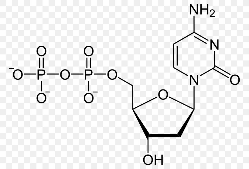 Uridine Diphosphate Uridine Triphosphate Adenosine Triphosphate Pyrophosphate, PNG, 800x559px, Uridine Diphosphate, Adenosine Diphosphate, Adenosine Monophosphate, Adenosine Triphosphate, Area Download Free