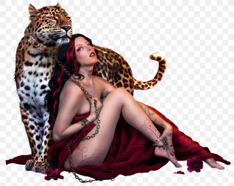 Leopard Cheetah Cat Animal Woman, PNG, 895x712px, Leopard, Animal, Big Cats, Black And White, Carnivoran Download Free
