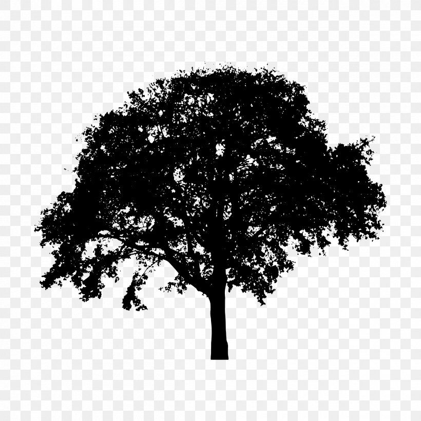 Tree Silhouette Clip Art, PNG, 2400x2400px, Tree, Black And White, Branch, Drawing, Monochrome Photography Download Free