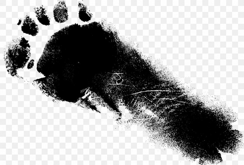 Black And White Footprint Monochrome Photography, PNG, 1024x694px, Black And White, Black, Footprint, Grunge, Ink Download Free