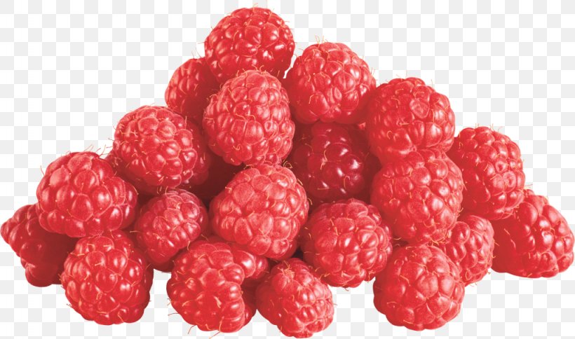 Tayberry Fruit Raspberry, PNG, 1024x605px, Tayberry, Aggregate Fruit, Berry, Blackberry, Boysenberry Download Free