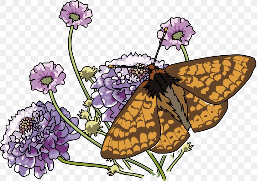 Butterfly Marsh Fritillary Clip Art, PNG, 2270x1605px, Butterfly, Brush Footed Butterfly, Butterflies And Moths, Flower, Flowering Plant Download Free