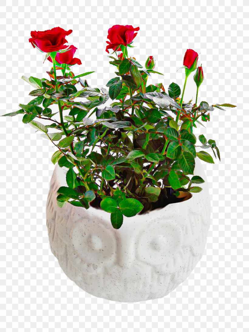 Artificial Flower, PNG, 1500x2000px, Flowerpot, Annual Plant, Artificial Flower, Flower, Geranium Download Free