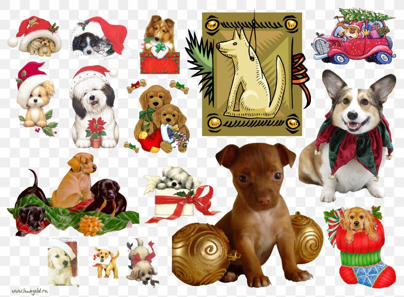 Dog Puppy Pet New Year, PNG, 2352x1732px, Dog, Animal, Canidae, Carnivoran, Christmas Download Free
