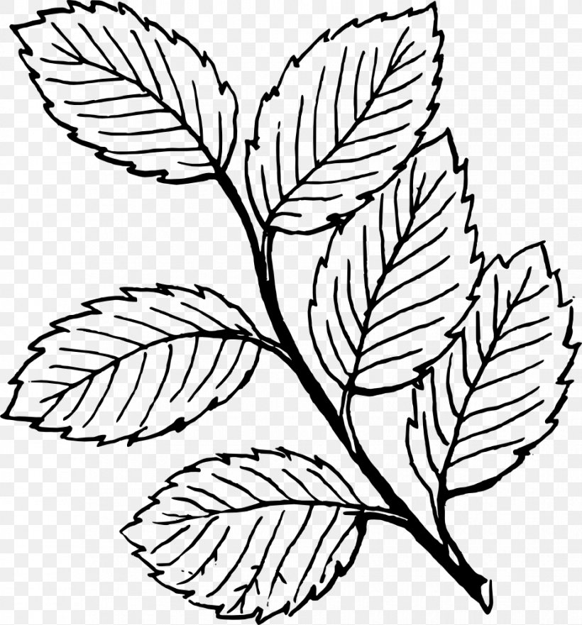 Leaf Clip Art, PNG, 930x1000px, Leaf, Autumn Leaf Color, Black, Black And White, Botany Download Free