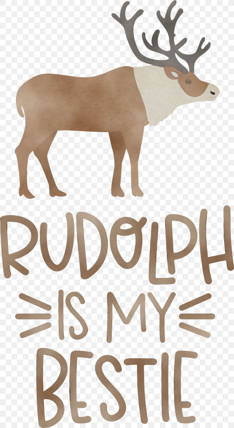 Reindeer, PNG, 1640x3000px, Rudolph Is My Bestie, Antler, Biology, Christmas, Deer Download Free