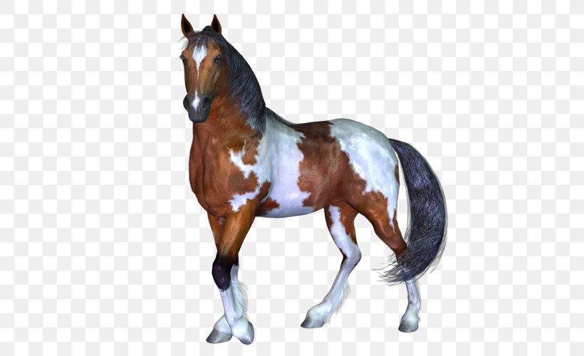 Stallion Mustang Pony Wild Horse, PNG, 500x500px, Stallion, Animal, Animal Figure, Bit, Fkk Saunaclub Download Free