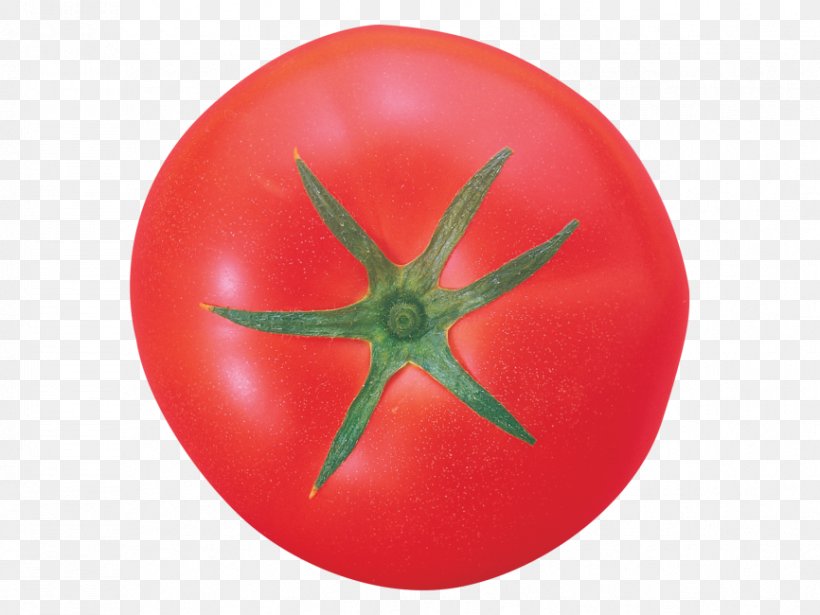 Tomato Orange S.A., PNG, 866x650px, Tomato, Food, Fruit, Nightshade Family, Orange Sa Download Free