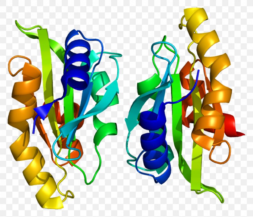 TWF1 Modernists At Odds: Reconsidering Joyce And Lawrence Protein Gene Actin, PNG, 833x714px, Watercolor, Cartoon, Flower, Frame, Heart Download Free