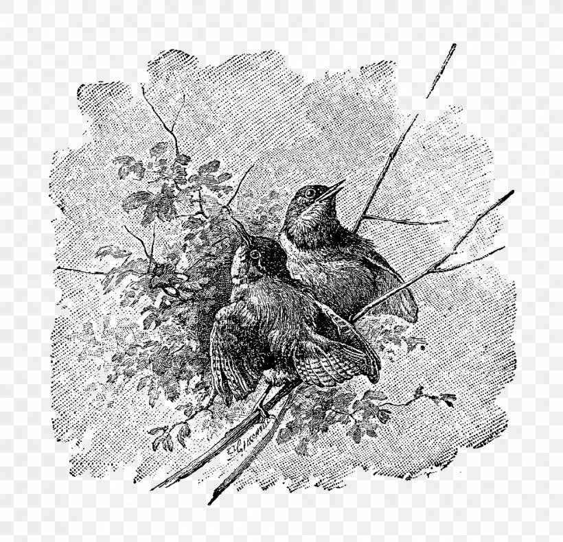 Twig Bird Nest Drawing Fauna, PNG, 982x947px, Twig, Art, Bird, Bird Nest, Black And White Download Free