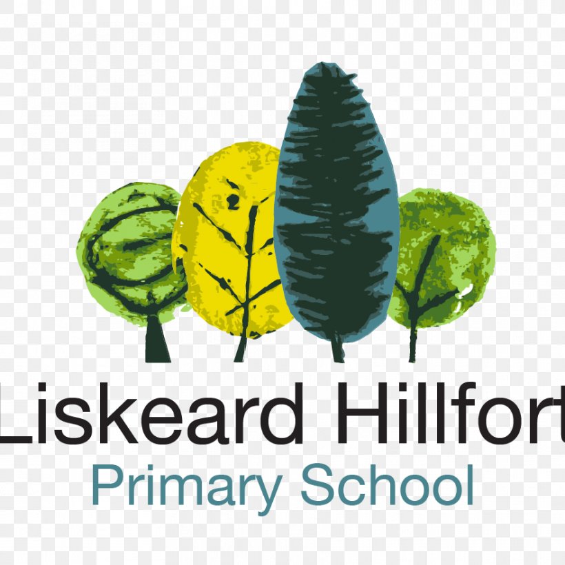 Hillfort Primary School Falmouth Elementary School Bodmin, PNG, 882x882px, Falmouth, Bodmin, Brand, Curriculum, Elementary School Download Free