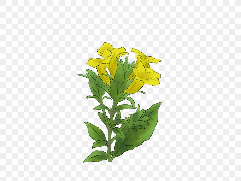 Illustration Graphic Design Behance The Herb Book, PNG, 1400x1050px, Behance, Aquarium Decor, Botany, Common Evening Primrose, Common Eveningprimrose Download Free