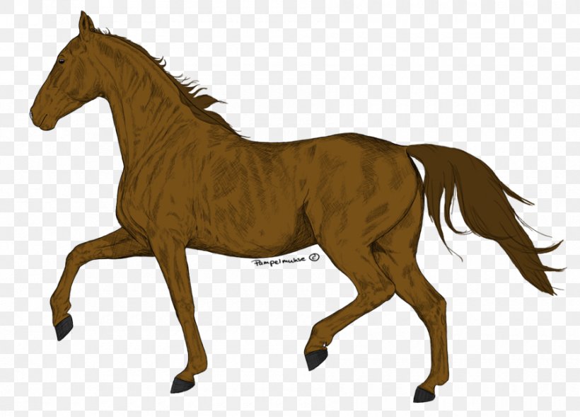 Mane Foal Stallion Mare Mustang, PNG, 900x647px, Mane, Bridle, Colt, Drawing, Ecoregion Download Free