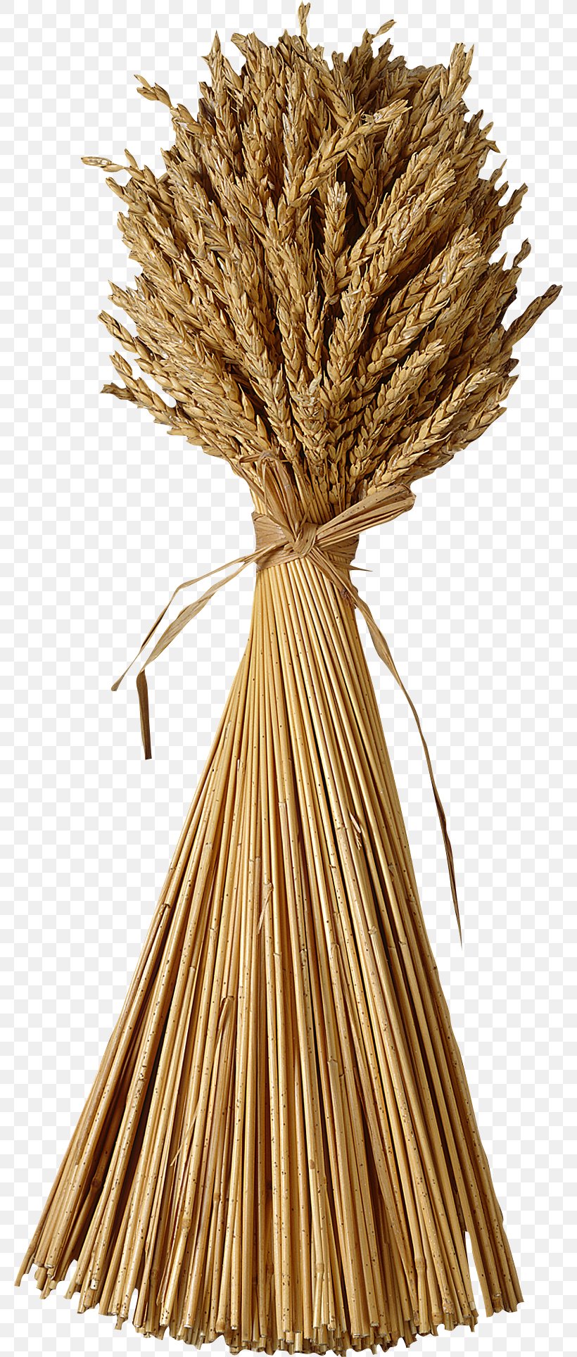 Wheat Sheaf Clip Art, PNG, 780x1928px, Sheaf, Book, Cereal, Cereal Germ, Commodity Download Free