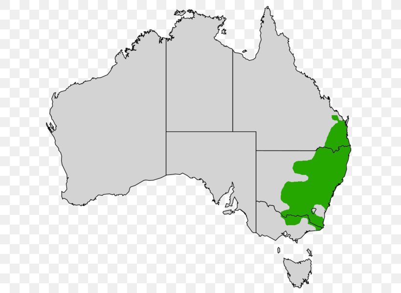 Australia Blank Map United States World Map, PNG, 664x600px, Australia, Area, Atlas, Blank Map, Cartography Download Free
