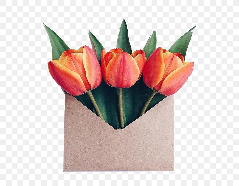 Paper Flower Bouquet Envelope Floral Design, PNG, 640x640px, Paper, Arrangement, Composition, Cut Flowers, Envelope Download Free
