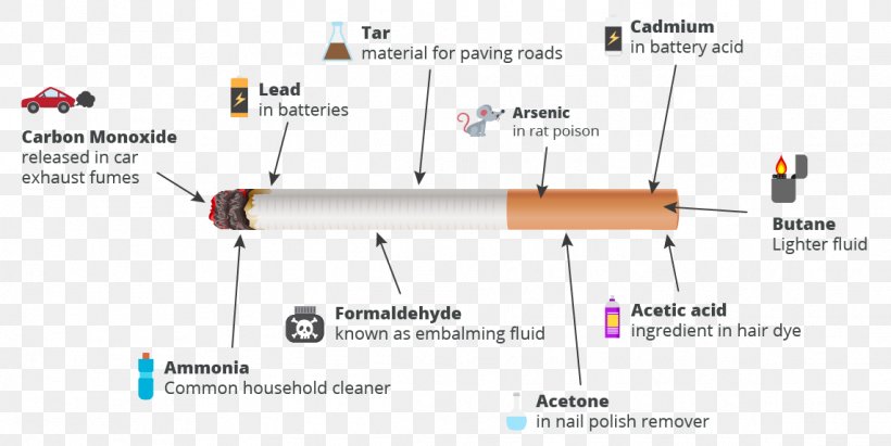 Smoking Facts Tobacco Smoking Cigarette, PNG, 1143x574px, Smoking, Area, Cardiovascular Disease, Cause, Cigarette Download Free