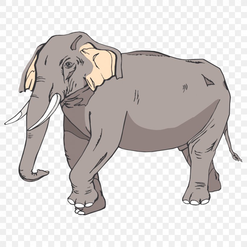 Asian Elephant Clip Art, PNG, 1200x1200px, Asian Elephant, African Elephant, Blog, Carnivoran, Cattle Like Mammal Download Free
