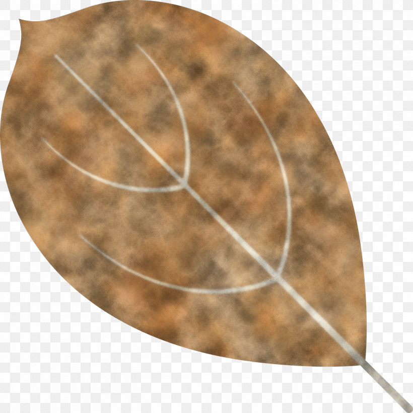 Autumn Leaf Autumn Color, PNG, 3000x3000px, Autumn Leaf, Analytic Trigonometry And Conic Sections, Autumn Color, Circle, Mathematics Download Free
