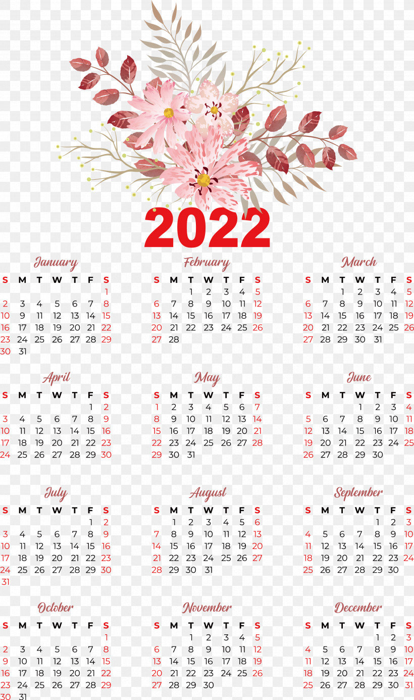 Flower Calendar Font Meter Plant, PNG, 3449x5832px, Flower, Biology, Calendar, Meter, Plant Download Free