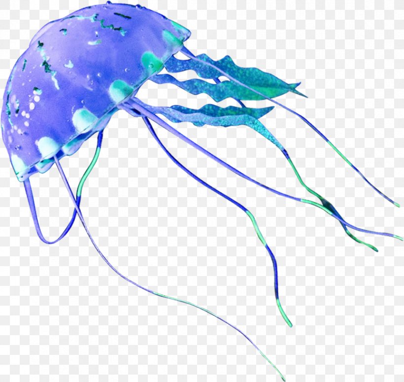 Jellyfish Marine Invertebrates Graphic Design, PNG, 862x815px, Jellyfish, Biology, Blue, Cloud Parrot, Fish Download Free