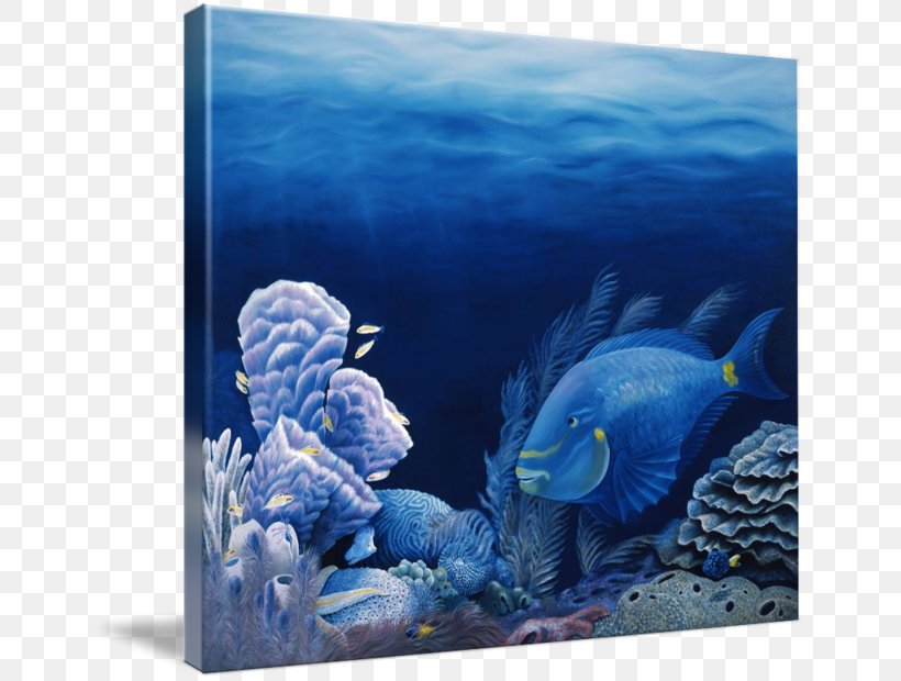 Marine Biology Lighthouse Reef Coral Reef Fish, PNG, 650x620px, Marine Biology, Angelfish, Aquarium, Art, Canvas Print Download Free