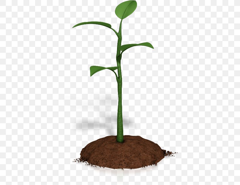Plant Animation Microsoft PowerPoint Clip Art, PNG, 400x631px, Plant, Animation, Apng, Flowerpot, Information Download Free