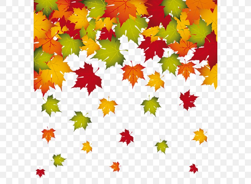 Autumn Leaf Color, PNG, 600x600px, Autumn Leaf Color, Autumn, Drawing, Floral Design, Flower Download Free