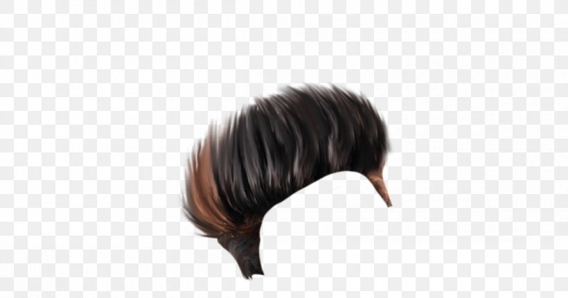 Black Hair World Brush Long Hair, PNG, 1200x630px, Black Hair, Bangs, Black, Bob Cut, Brown Download Free