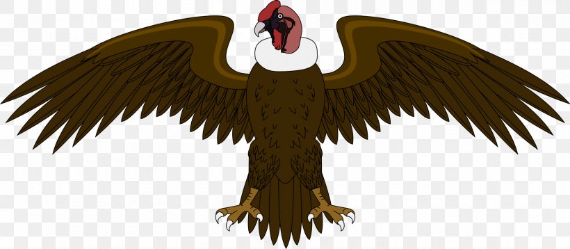 Coat Of Arms Of Colombia Andean Condor Andes, PNG, 2400x1050px, Colombia, Accipitriformes, Andean Condor, Andes, Bald Eagle Download Free