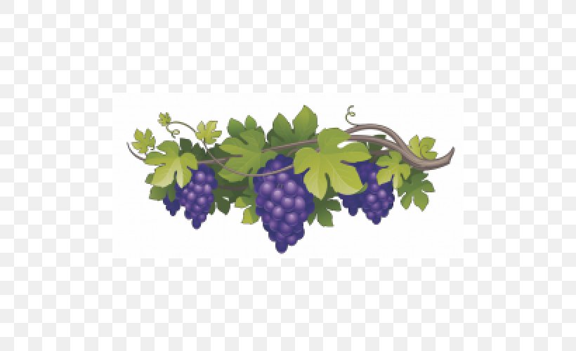 Wine Clubs Common Grape Vine, PNG, 500x500px, Wine, Art, Common Grape Vine, Flowering Plant, Food Download Free