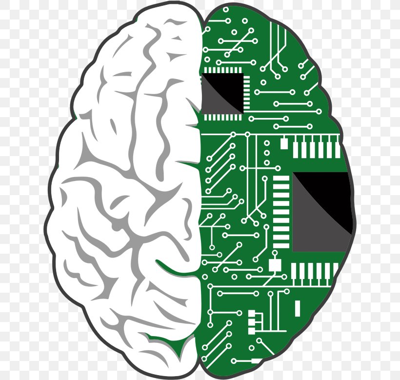 Brain–computer Interface Human Brain, PNG, 644x779px, Watercolor, Cartoon, Flower, Frame, Heart Download Free