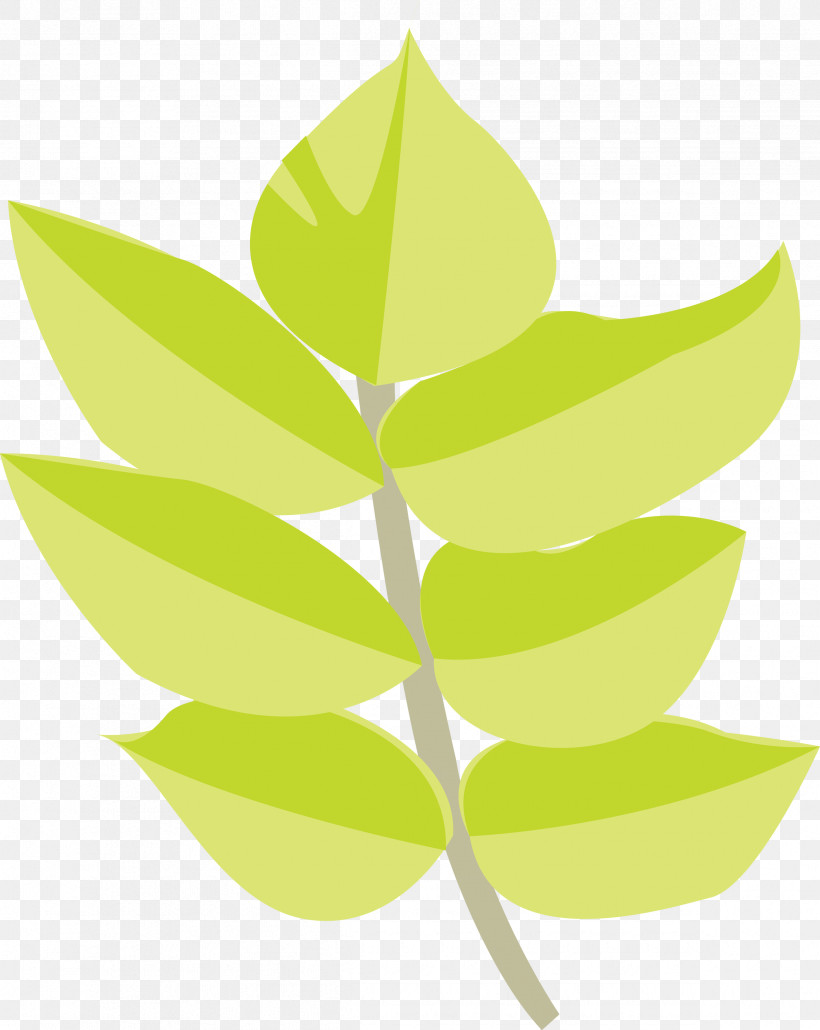 Leaf Green Plant Tree Flower, PNG, 2388x3000px, Leaf, Flower, Green, Logo, Plant Download Free