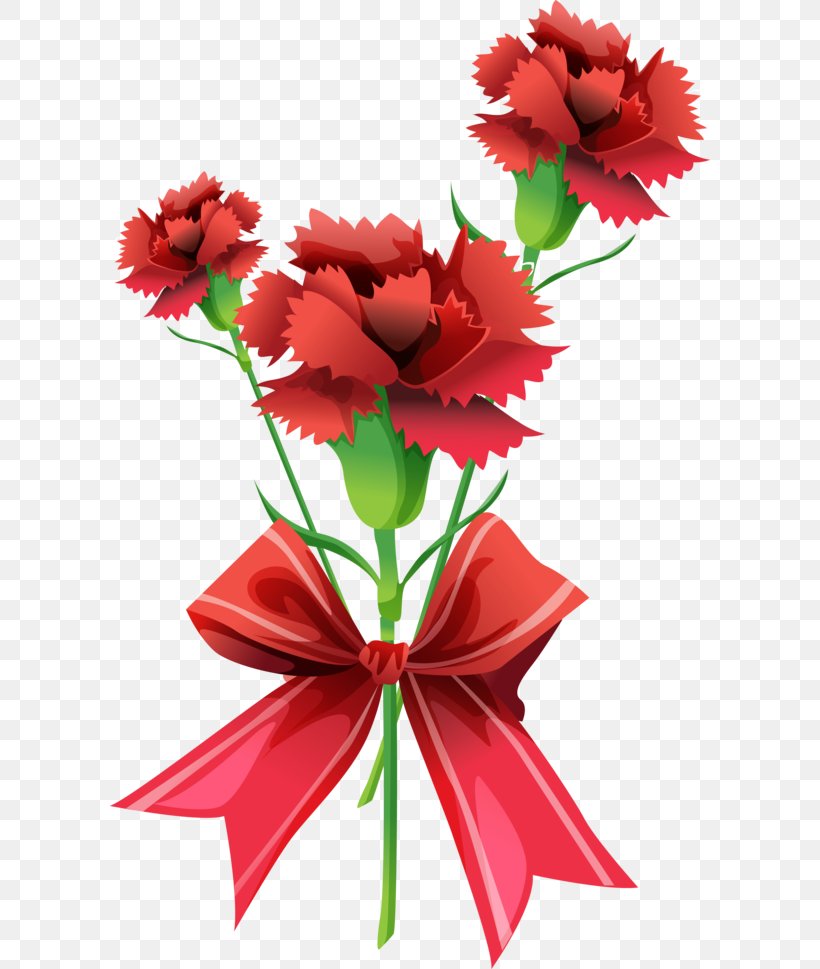 Clip Art Carnation JPEG Flower, PNG, 600x969px, Carnation, Clove, Cut Flowers, Floral Design, Floristry Download Free