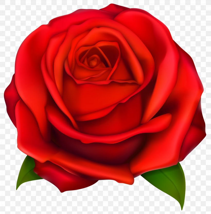 Rose Clip Art, PNG, 4084x4136px, Yoworld, Blog, China Rose, Close Up ...