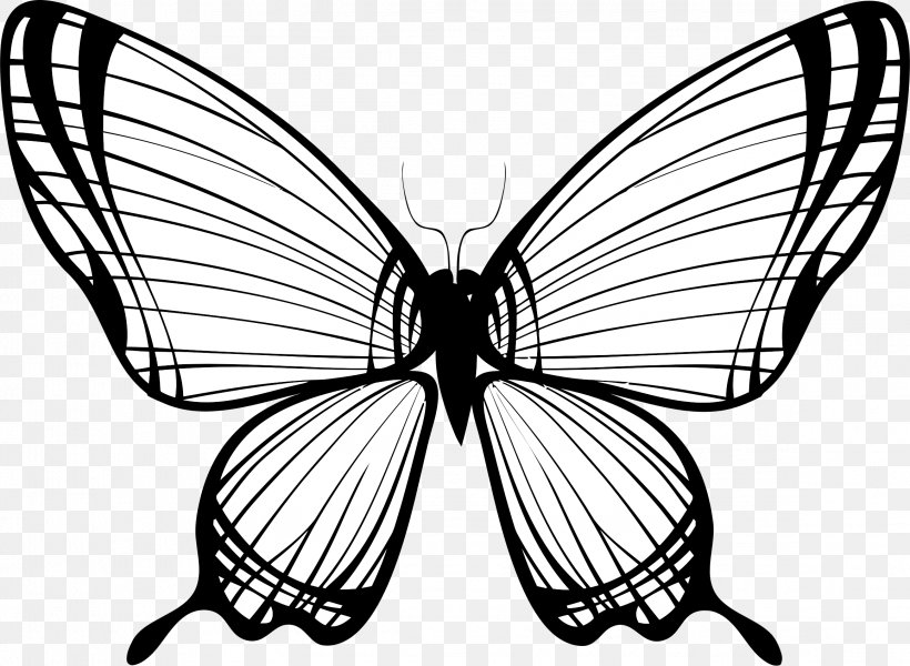 Butterfly Drawing Silhouette T-shirt, PNG, 2316x1697px, Butterfly, Arthropod, Artwork, Black And White, Brush Footed Butterfly Download Free