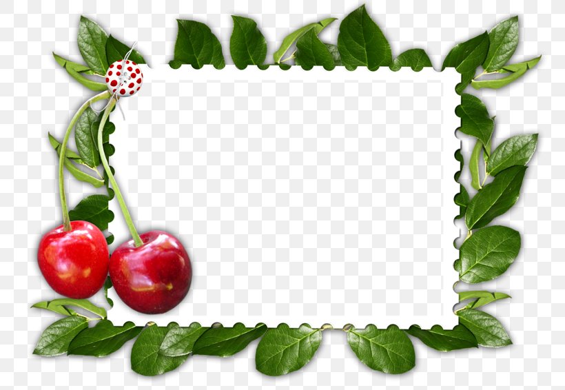 Cherry Picture Frames Clip Art, PNG, 800x566px, Cherry, Cat, Cerise, Diaporama, Food Download Free