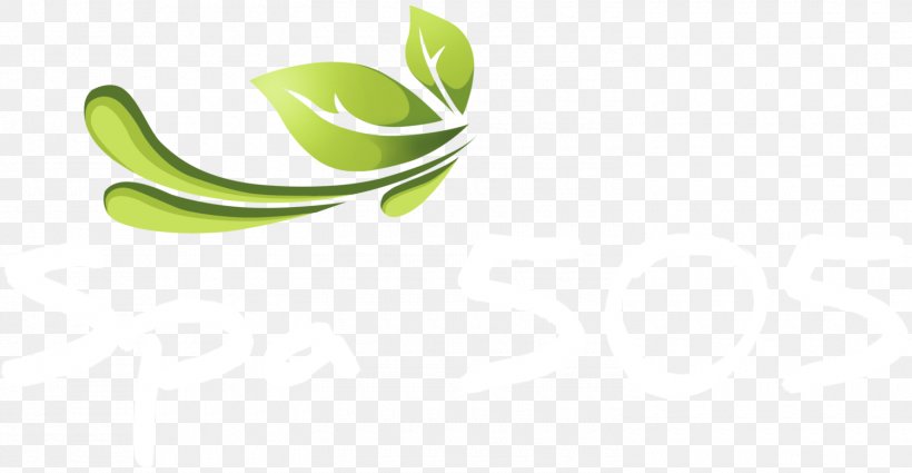 Leaf Logo Green Desktop Wallpaper, PNG, 1500x779px, Leaf, Closeup, Computer, Green, Logo Download Free