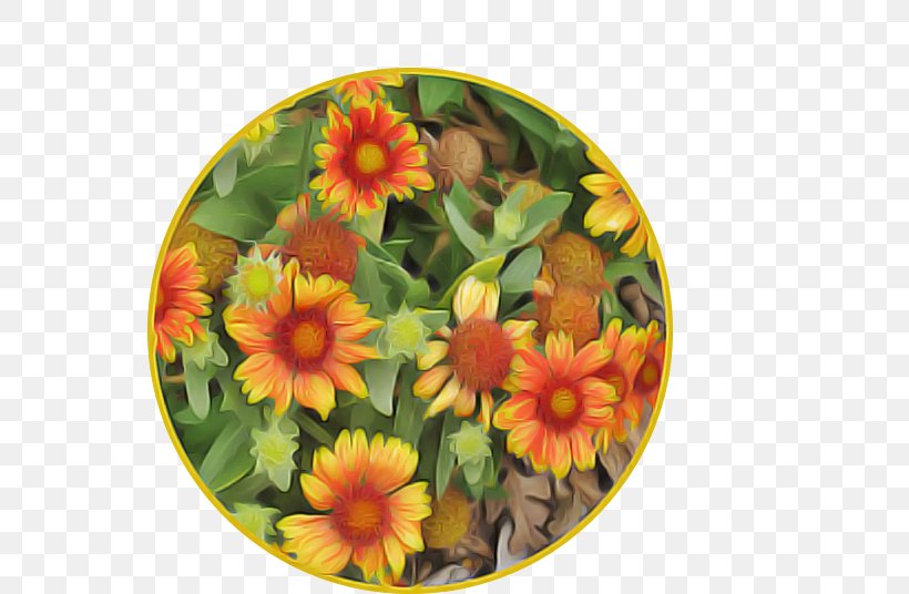 Orange, PNG, 553x536px, Flower, Daisy Family, Orange, Petal, Plant Download Free