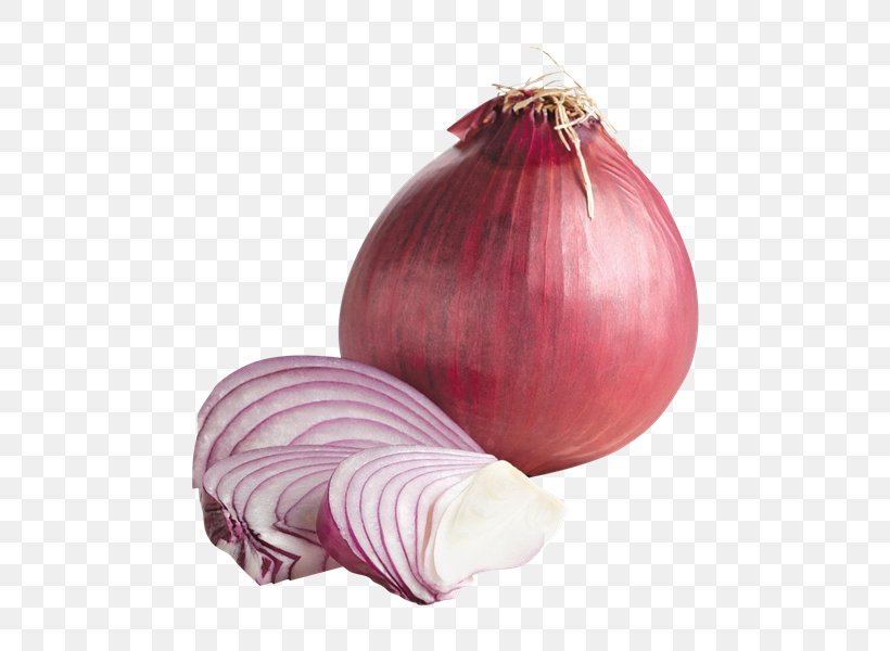 Yellow Onion Shallot Food Red Onion Grocery Store, PNG, 544x600px, Yellow Onion, Beet, Beetroot, Farm, Food Download Free