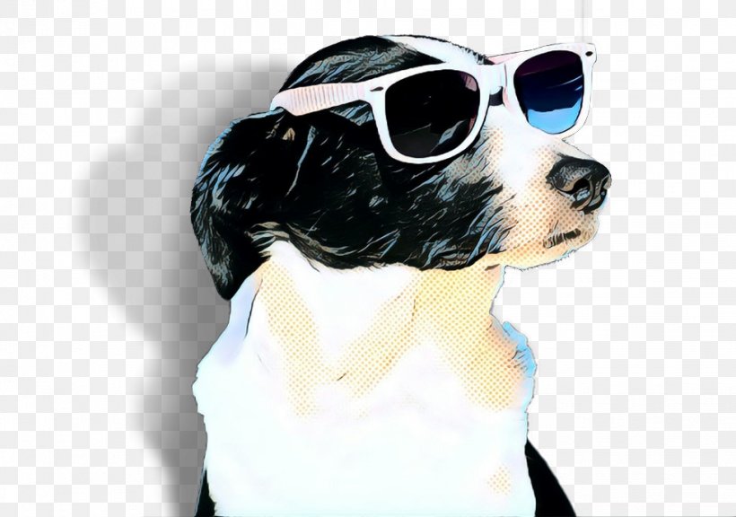 Cool Border, PNG, 978x687px, Puppy, Border Collie, Boston Terrier, Breed, Companion Dog Download Free