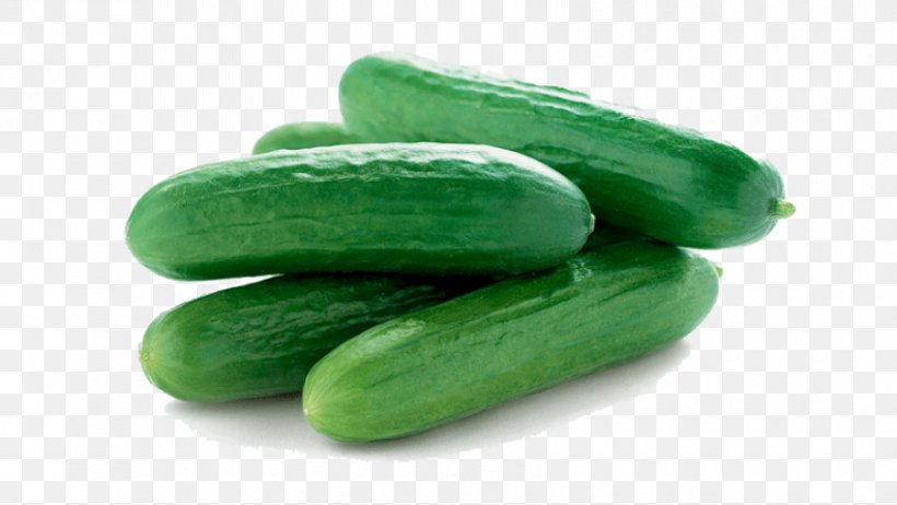 Cucumber Spreewald Gherkins Fruit Organic Food, PNG, 850x479px, Cucumber, Banana, Cucumber Gourd And Melon Family, Cucumis, Food Download Free